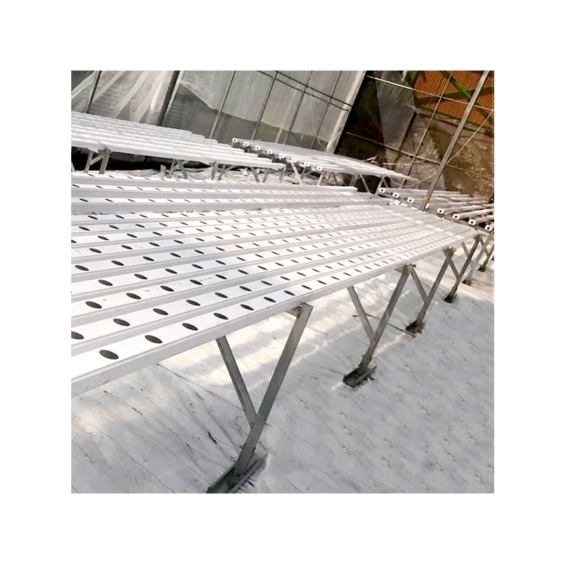 Low cost NFT hydroponics system for vegetable vertical hydroponic growing in greenhouse PVC pipe aquaponic system