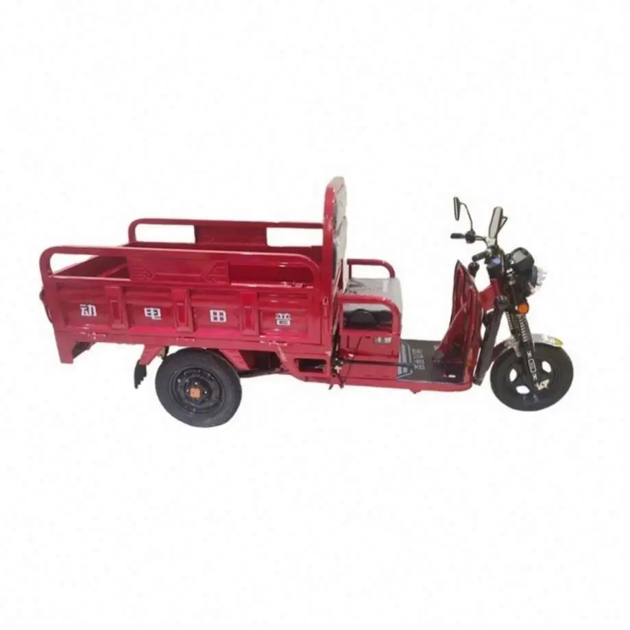 Easy to Control 100KG Tuk Covered Electric Three Wheel Tricycle With Low Price