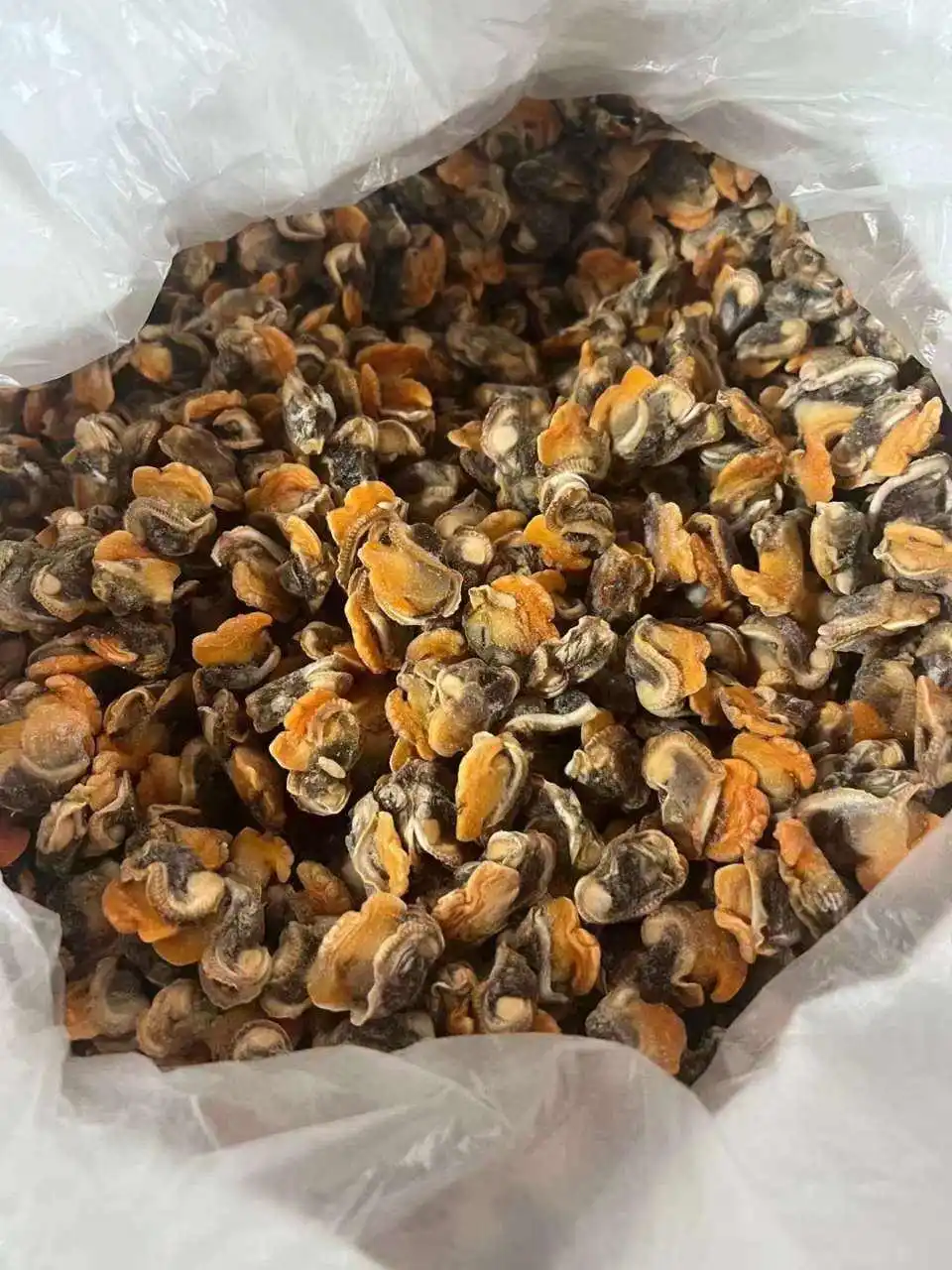 Замороженное мясо моллюсков крови