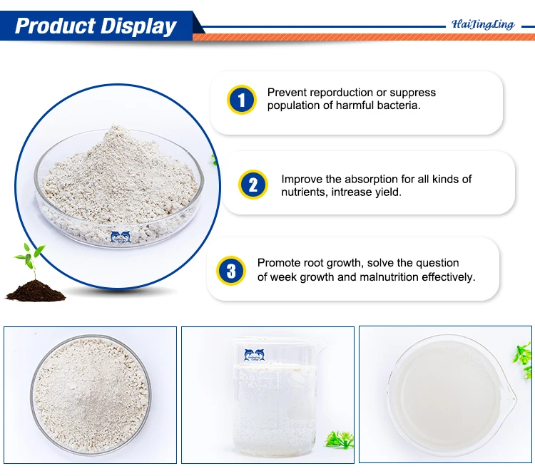 Pure Chitosan Water Soluble Food Grade Chitosan Powder for Food Beverage