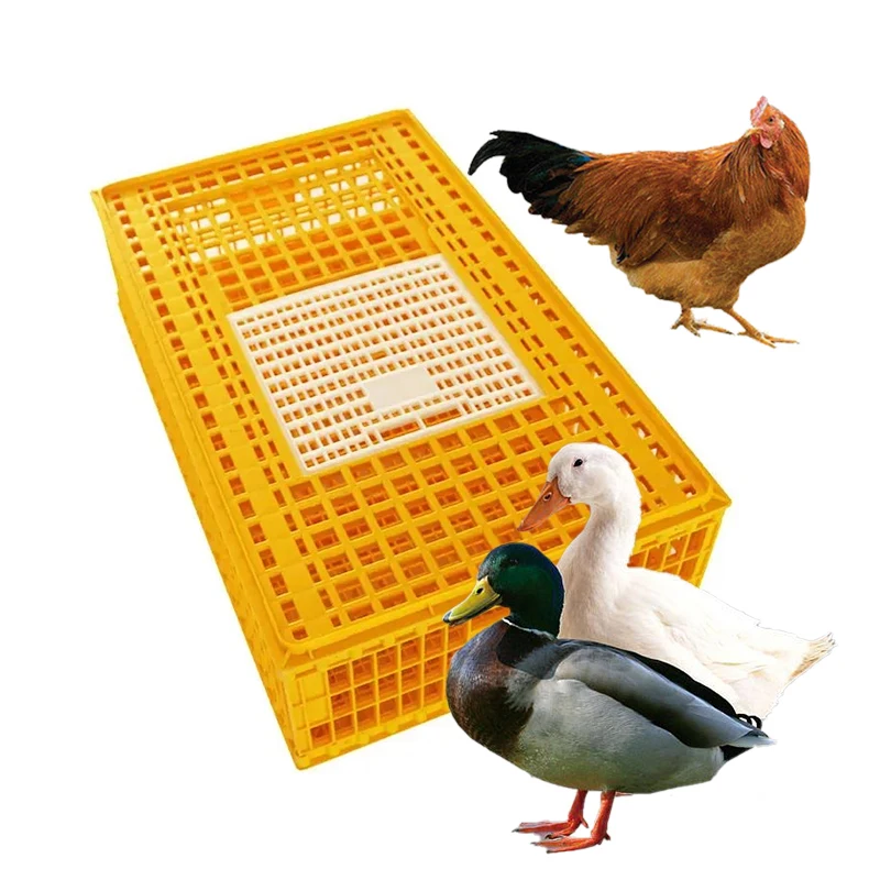 CHANGTIAN industrial chicken crates transport plastic live chicken transport bird transport box