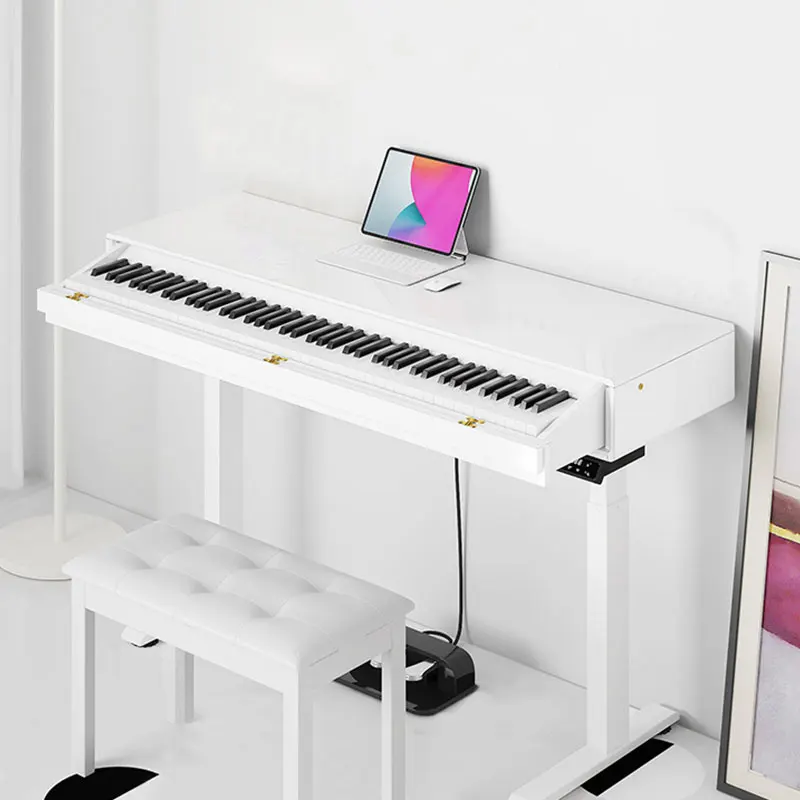 Dinas Hot Sale Musical Instrument Cheap Price For Digital Electric Piano 88 Teclas