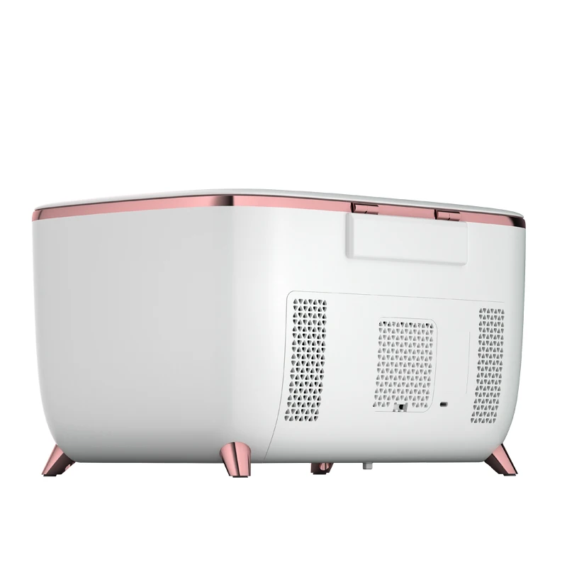 Wholesale 9l Beauty Household Cosmetic Fridge Mini Refrigerator
