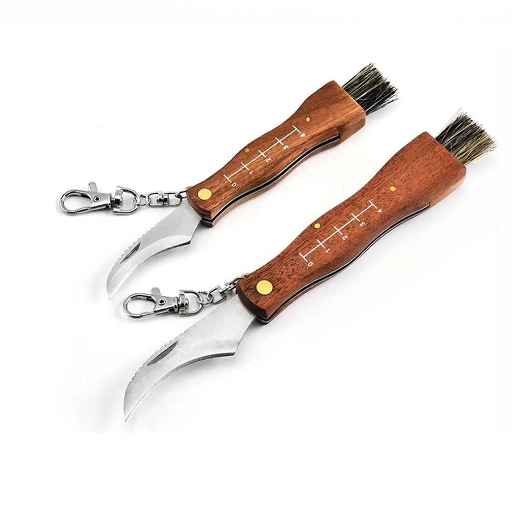 Professional Stainless Steel Folding Camping Hunting Truffles Harvest Sharp Knives Natural Wood Handle Pocket knife Keychain