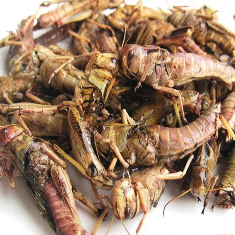 
Factory Sell organic dog treats dried grasshopper 