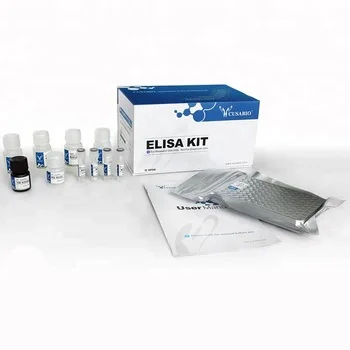 CUSABIO NEW HOT Human Intestinal-type Alkaline Phosphatase ALPI ELISA Kit