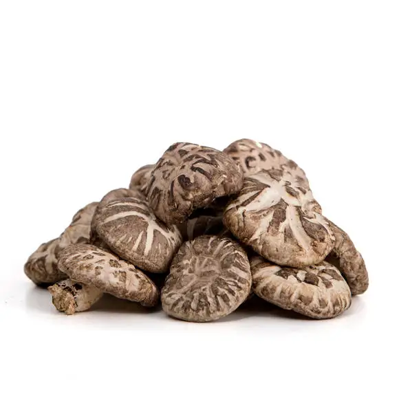 Wholesale Top Quality Lentinus edodes Dried Flower Mushroom Supplydry in bulk
