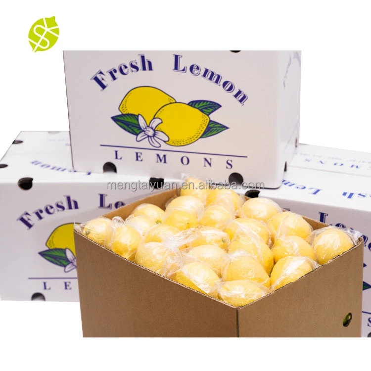 Monsale Fruit Export Company Yellow Eureka Lemons