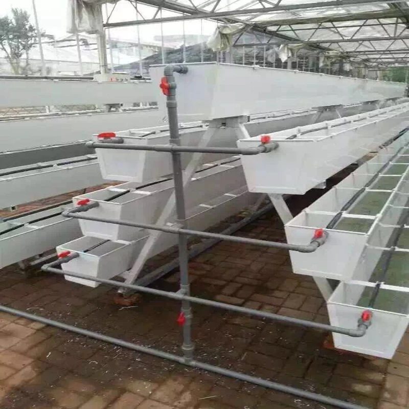 High quality hydrophonic growing systems hydroponics grow kit system greenhouse frame for vegetables