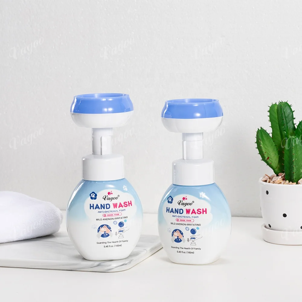 Private label Mild OEM Hand Liquid Soap Antibacterial Bubble Foam Hand Wash