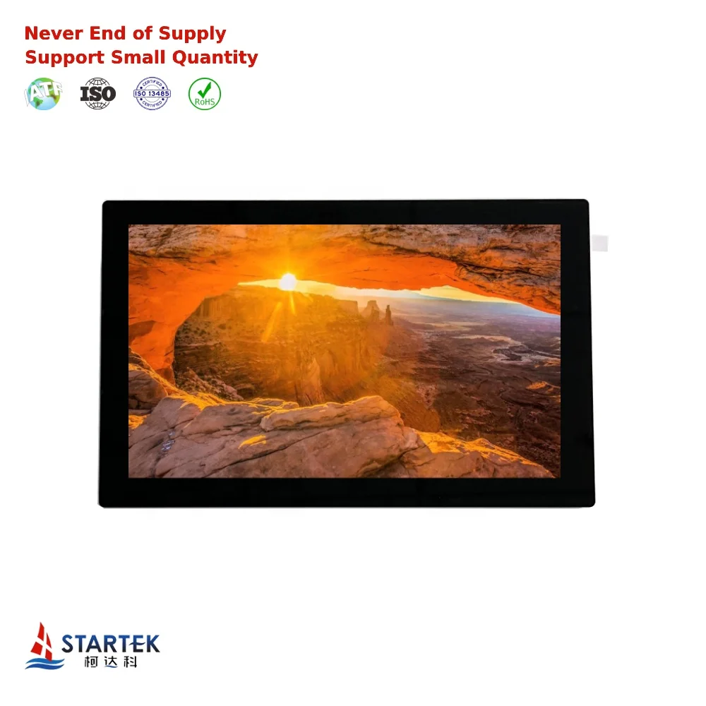 10.1 Inch 1024*600 Resolution 500nits IPS Touch Screen HD-MI LCD Display TFT Type with HD-MI Interface