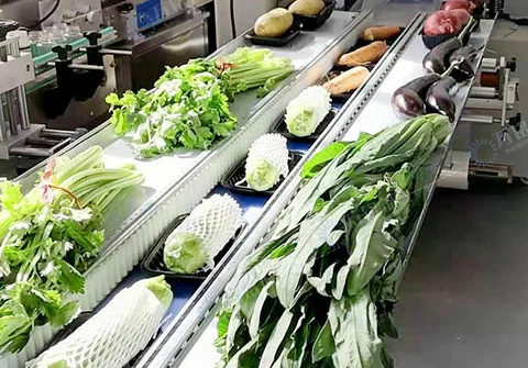 Myway Machinery supply  Cake/cookies/french Bread/chocolates Pillow Pack Packing Machine for hot sale