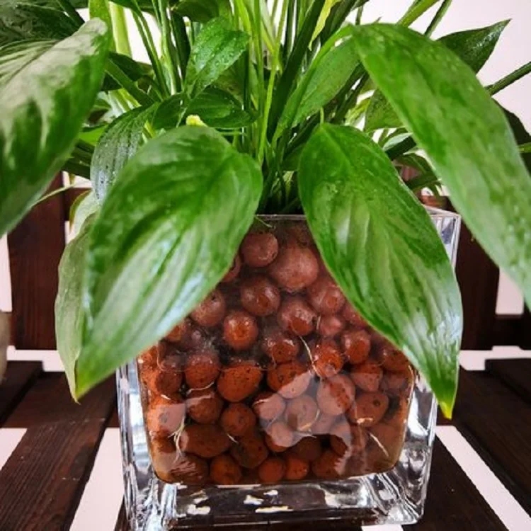 8-11 mm Expanded Light Clay Pebbles Growing Media Ceramsite