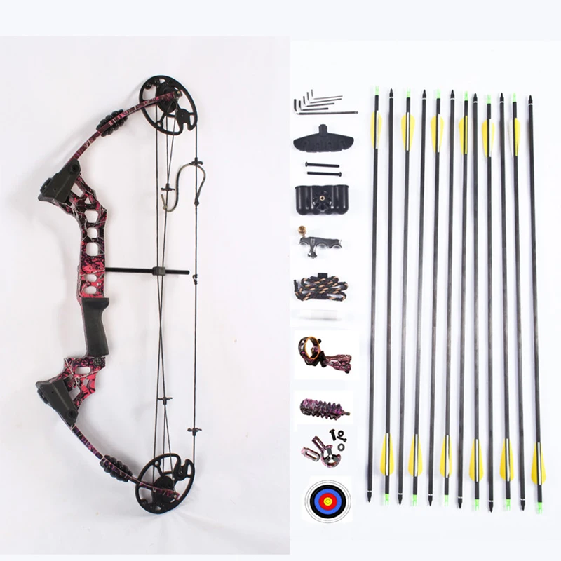 China Archery Compound Bow And Arrows For Sale