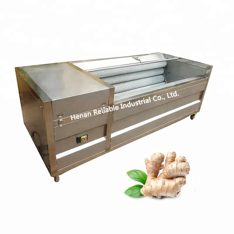 Manufacturer supplied ginger potato radish carrot lotus root washing peeling machine