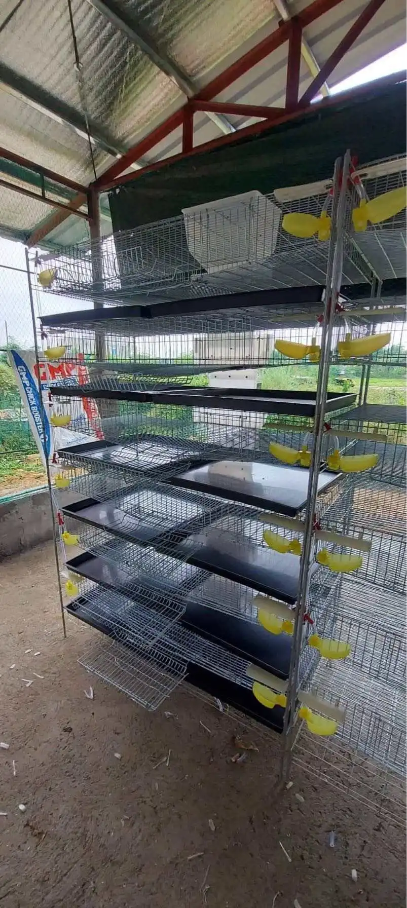Automatic/manual Design Battery Commercial Quail Breeding Cage