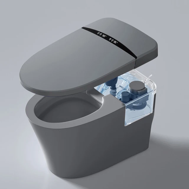 automatic water intelligent wc toilet bowl ceramic 120v smart toilet gray