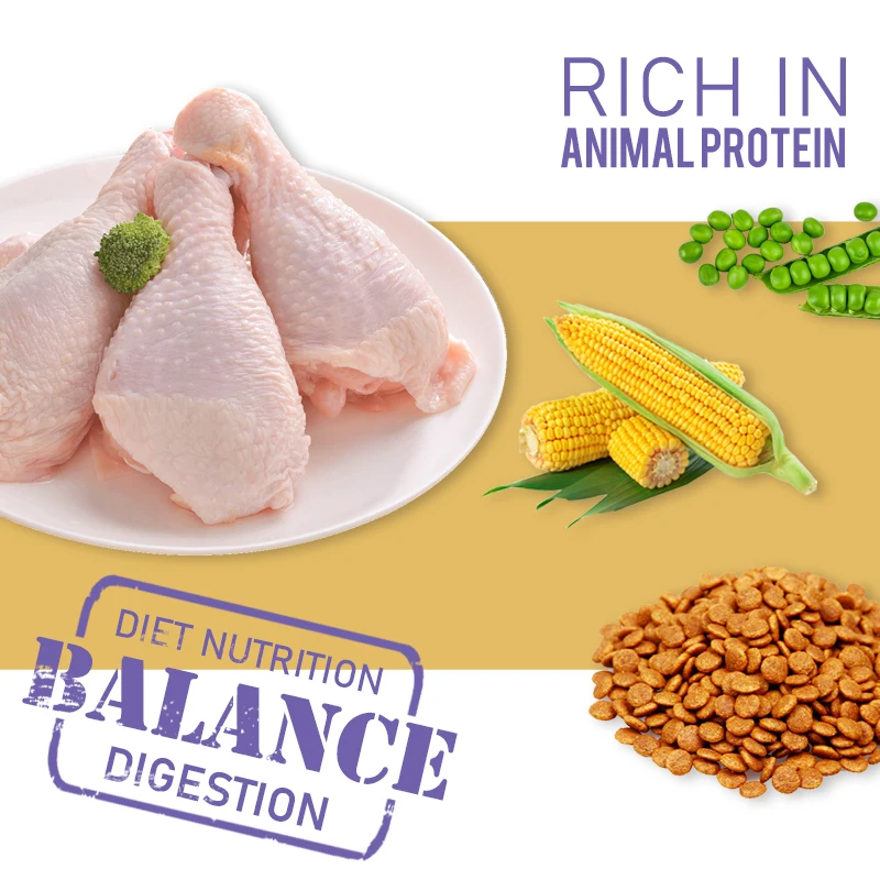  New Products High Quality for Pet Food and Dog as Chicken Flavor Dry Medium & Large Breed