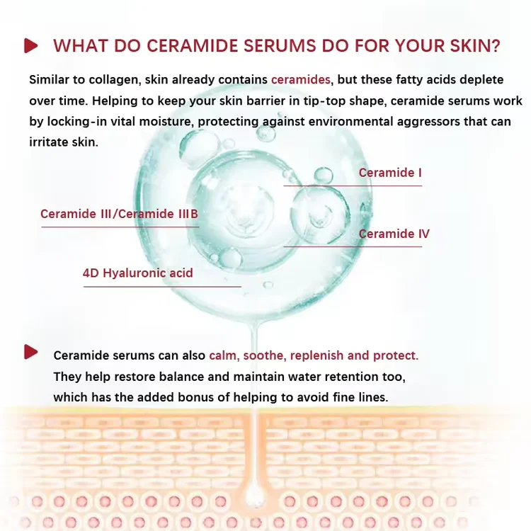 Herbal Supplements ceramide Collagen capsules Anti Aginger Skin Care 3 complex ceramide capsules