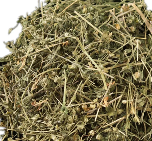 100% Raw Natural Bulk Tea Dried Eyebright Grass Euphrasia Rostkoviana Dry Plants for Sale