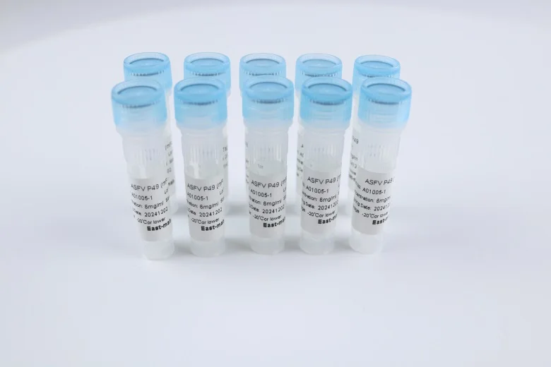 Promotional Specials Applied To Biological Expression Powder DENV2 NS1
