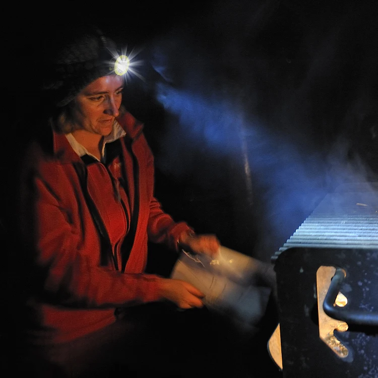 High Lumen 4V IP54 Waterproof Outdoor 5W Lithium Battery Portable Rechargeable Lantern Emergency Led Head Light