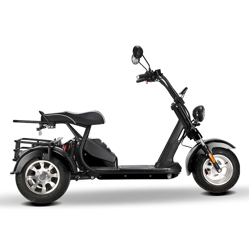 New design disc brake upgraded front fork 60V2000W three-wheel electric city coco trike bike