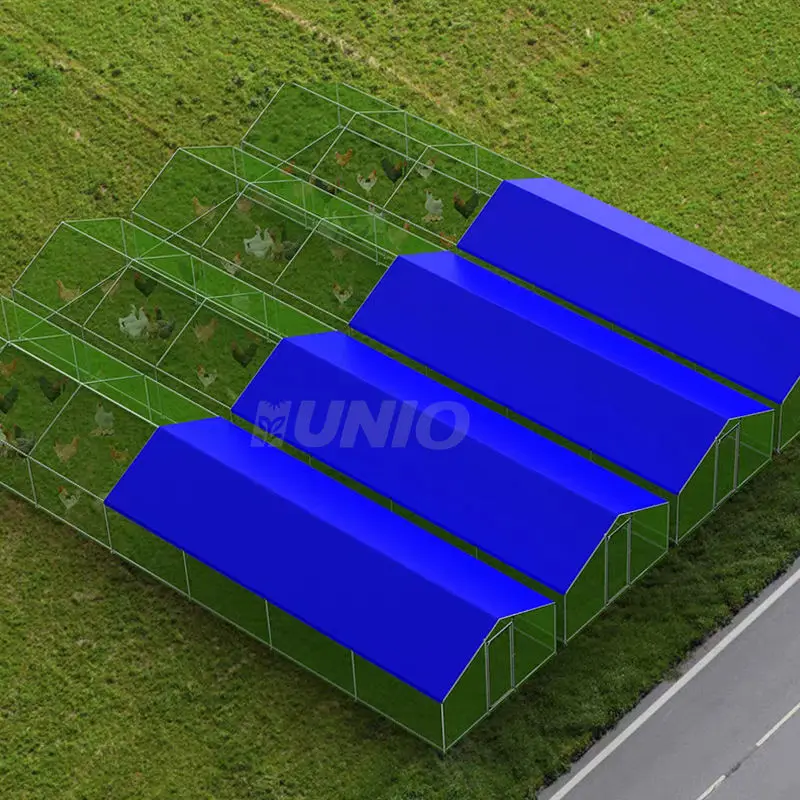 Very Durable 6M Home Use Small Design Chicken House Cage For 1000 Chickens Coop