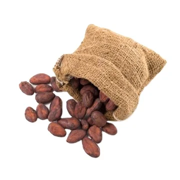 
Buy High Quality cocoa beans 