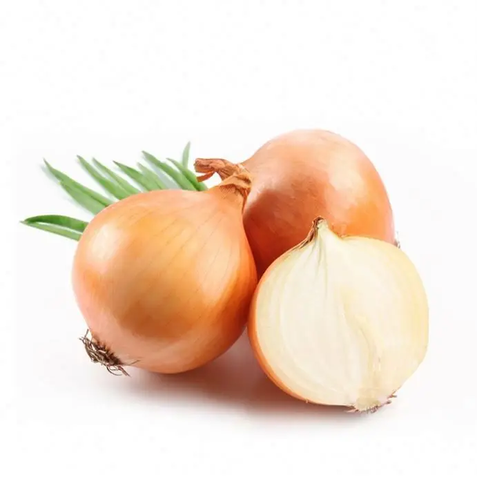 Fresh Onion In Bulk Cheap Red/Yellow Onions For Sale