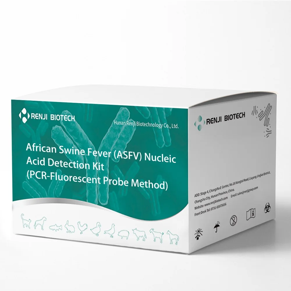 African Swine Fever ASFV Nucleic Acid Detection Kits PCR-Fluorescent Probe Method For Pig Disease