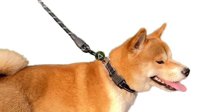 Small Medium Large Dogs Reflective Puppy Leash with Comfortable Padded Handle and Swivel Lockable Hook Leather Dog Rope