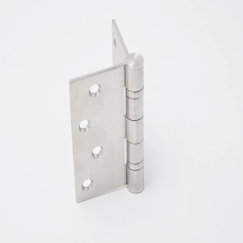  SS 304 brush door
