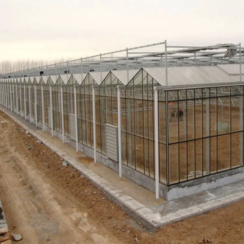 Горячая Распродажа дешевая многопролетная стеклянная теплица venlo автомобильная вентиляция