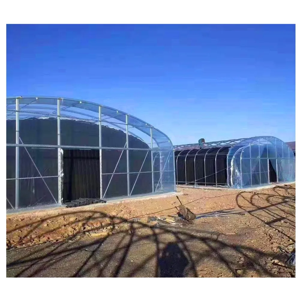 tunnel greenhouse.jpg