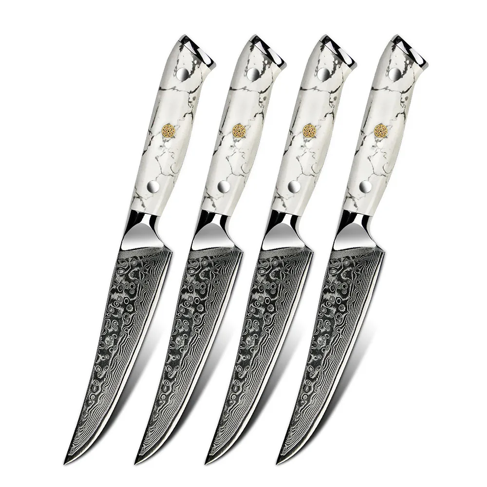 4 pcs 5 inch Turquoise White Stone Handle Damascus  VG 10 Steel Kitchen steak Knife set