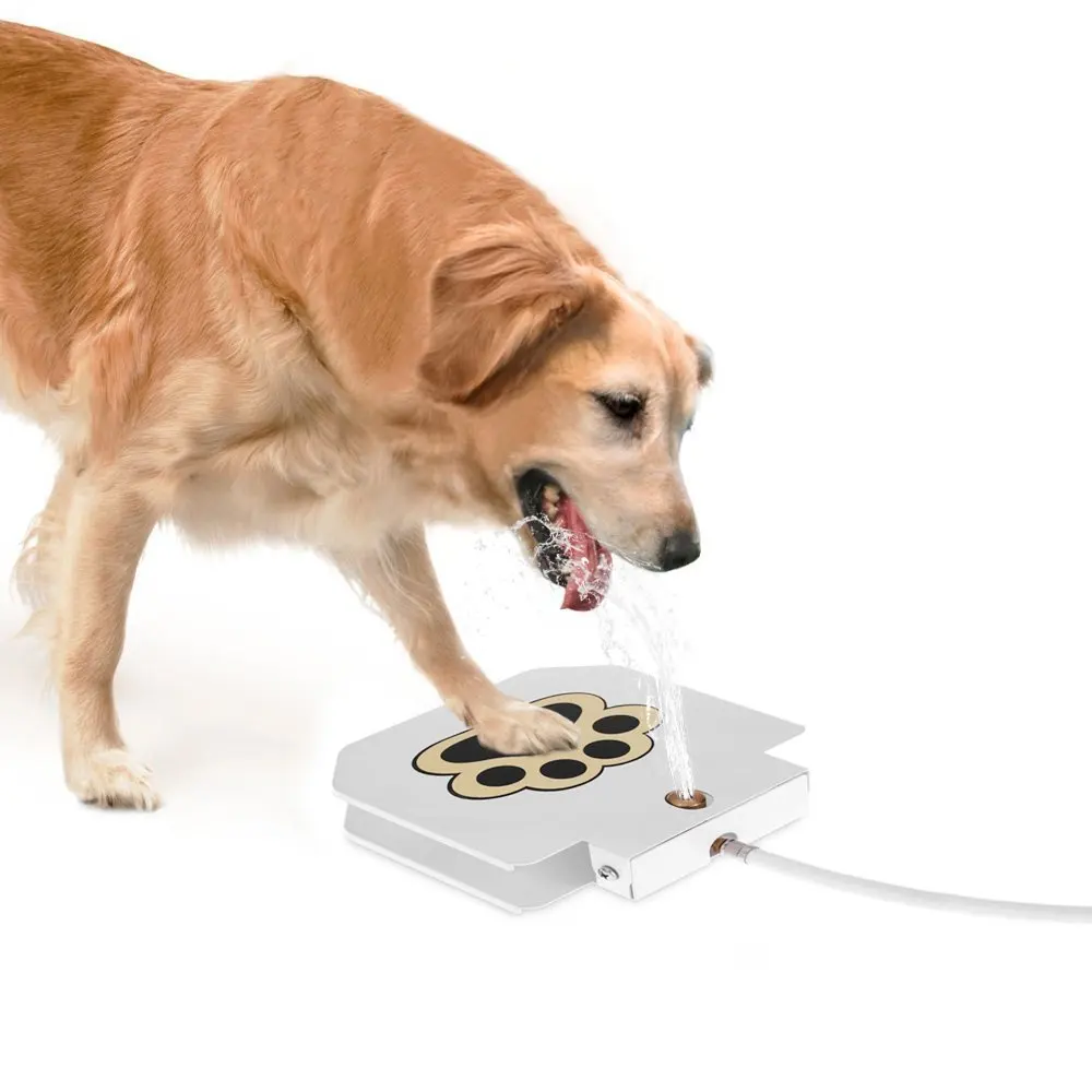 Outdoor pet dog walk-in fountain drinking fountain pet play water toy