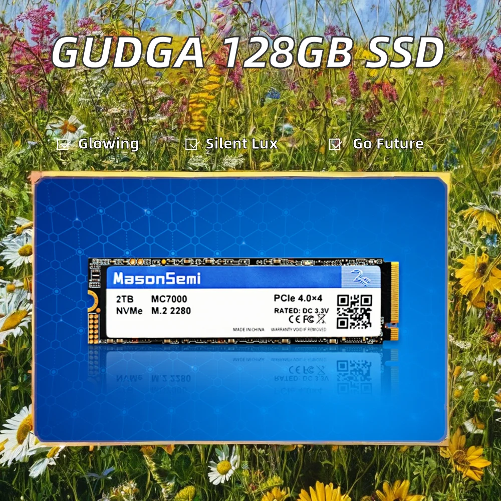 GUDGA NVMe SSD M.2 2280 SATA Hard Drive 80GB 128GB 512GB Options Internal/External Plastic Shell Laptop USB 3D Style New Product