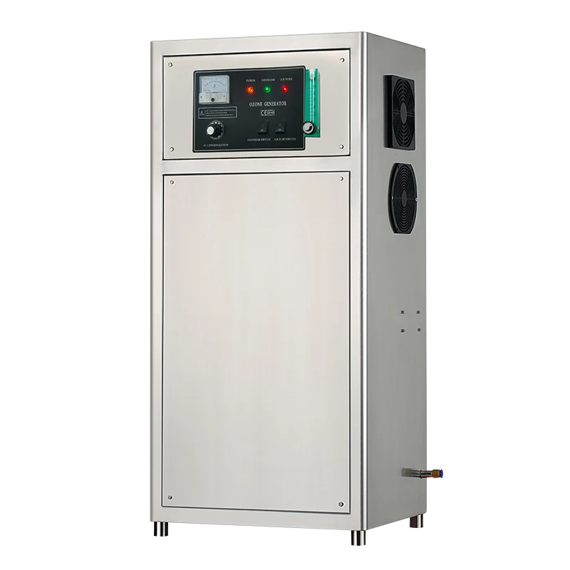 110V 220V Oxygen Source 10g 20g 50g 100g Ozone Generator For Aquaculture