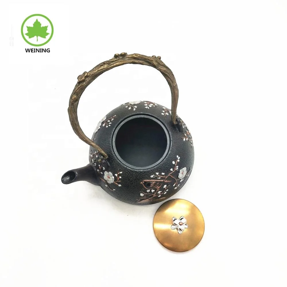 Japanese Cast Iron Teapot Metal Cast Iron Japaneae Teapot With Infuser Enamel Coating Chinese Style For Gift