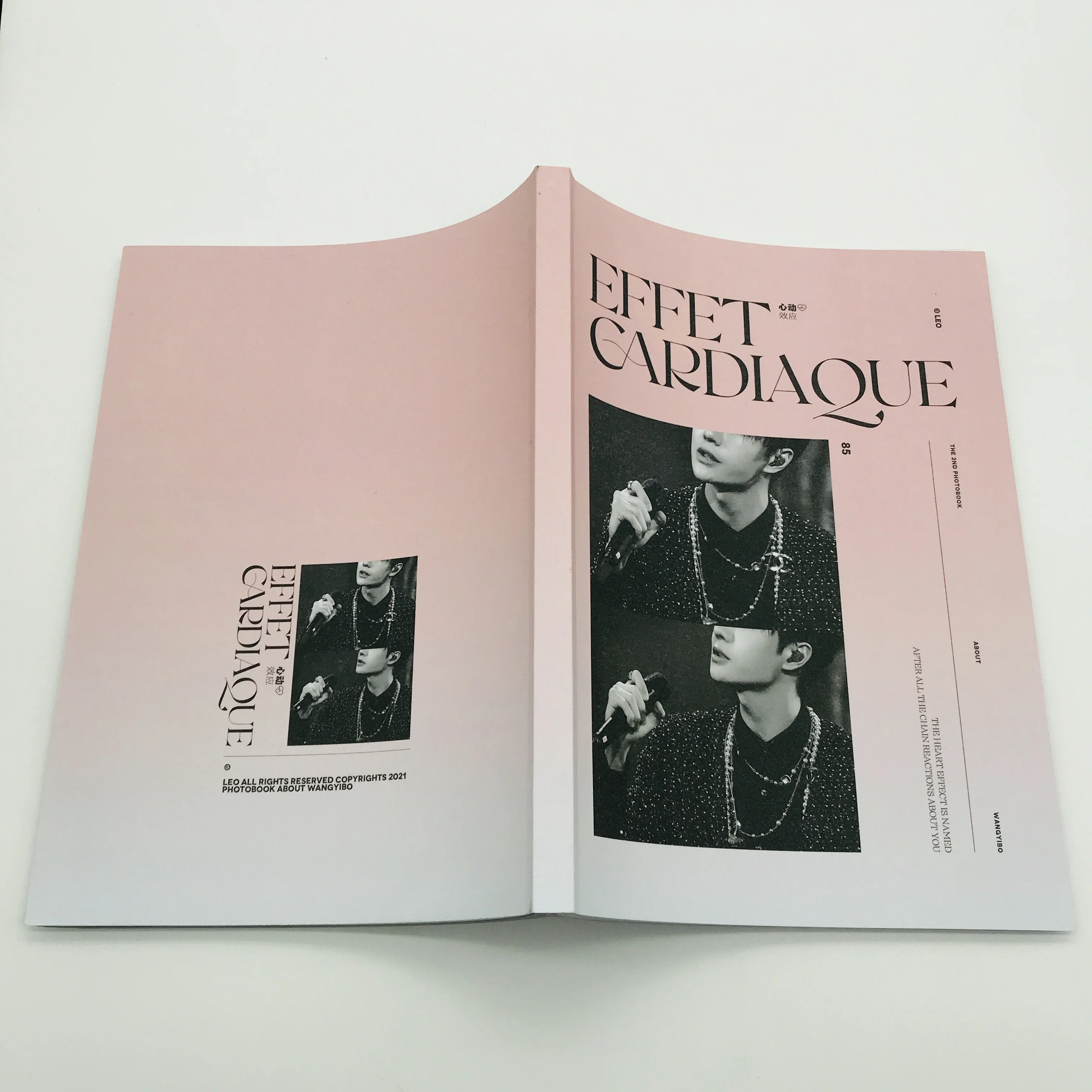 SM-YB179 Customized company promotion and introduction professional catalog Catalogue