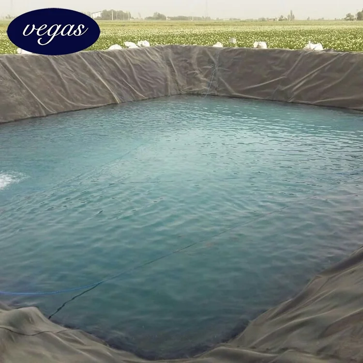 HDPE LDPE LLDPE 0,5 мм 1,0 мм подкладка для рыбной креветки сельского пруда HDPE геомембрана цена