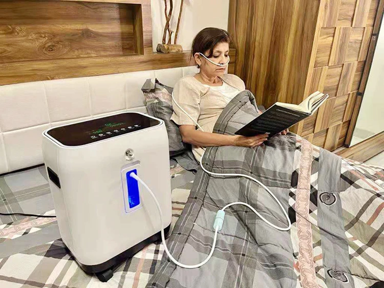 Cheap 2-10L Oxygen-concentrator Lowest Noise Hd Led Display High Purity Home Oxygen Concentrator Prices With Nebulizer