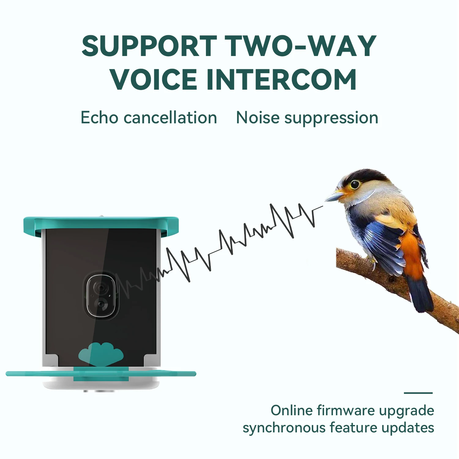 Outdoors hanging bird feeder smart bird feeder with camera wifi app