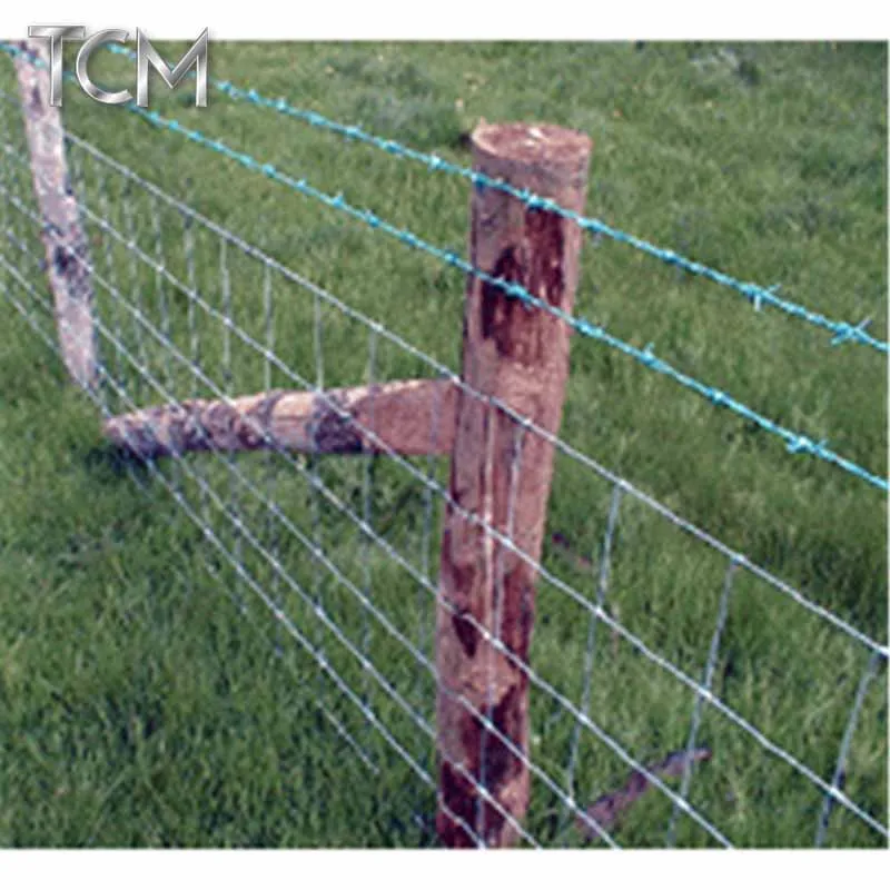 Aheap двойная прядь колючая проволока