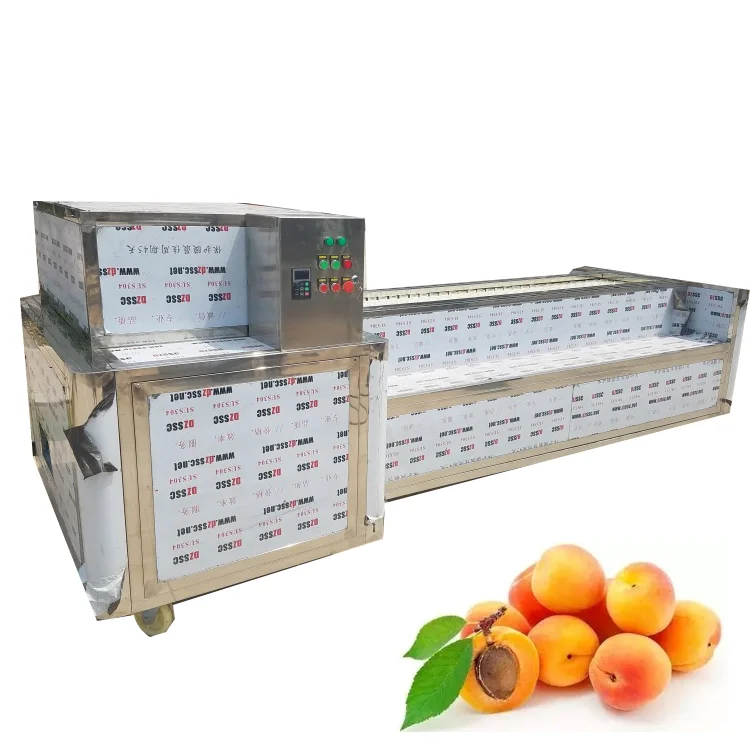 fruit cutting pitting machine apricot processing equipment