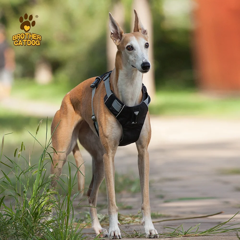 Hot Selling Soft Padded Reflective Dog Vest Harness  Breathable Adjustable No Pull Dog Harness