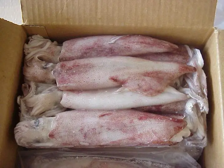  Пищевая продукция Shandong Ocean новый сезон высококачественный набивной кальмар полностью остекленный