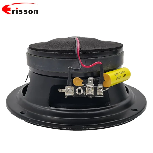 High Quality OEM/ODM Professional Coaxial Speakers 65 Inch Marine Speaker 100 Watts with midbass woofer