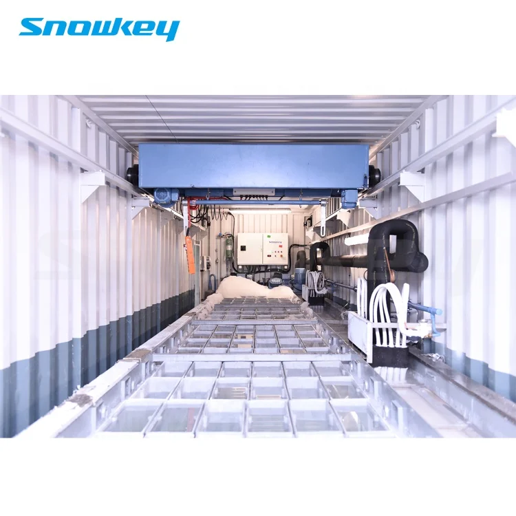 Snowkey ice block making machine for ice plant